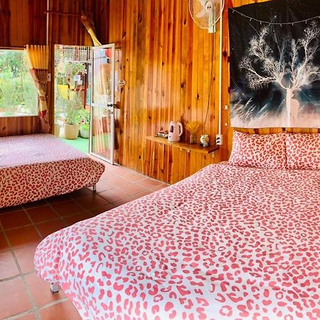 Moc Gia Vien Homestay - Да Лат Екстериор снимка